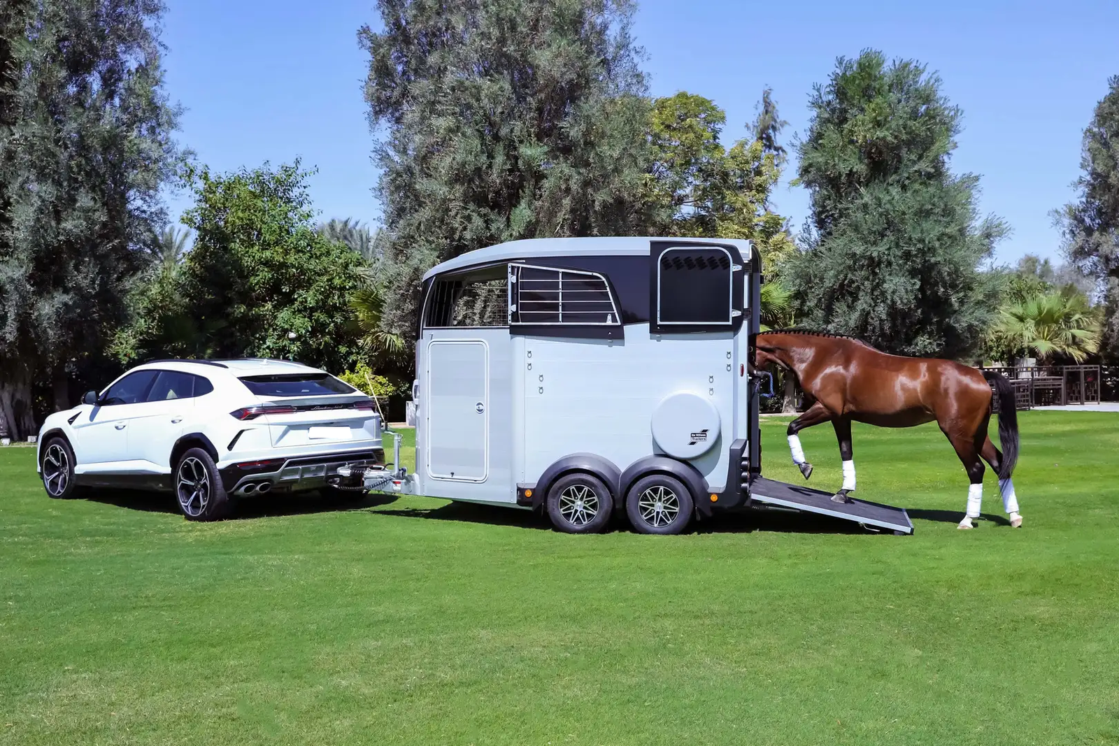 Van chevaux Ifor Williams HBX 511 avec sellerie – Image 3
